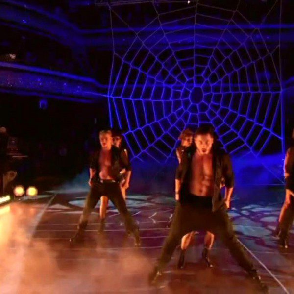 dwts-spider-web-net (1)