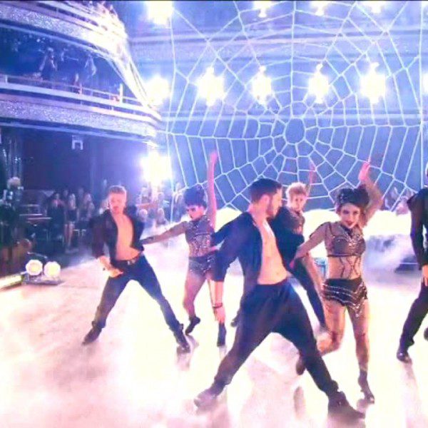 dwts-spider-web-net (2)