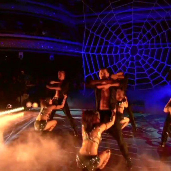 dwts-spider-web-net (3)