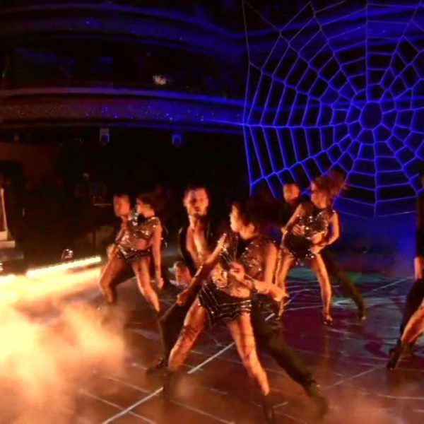 dwts-spider-web-net (4)