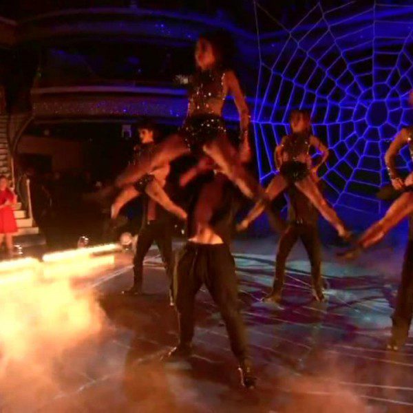 dwts-spider-web-net (5)