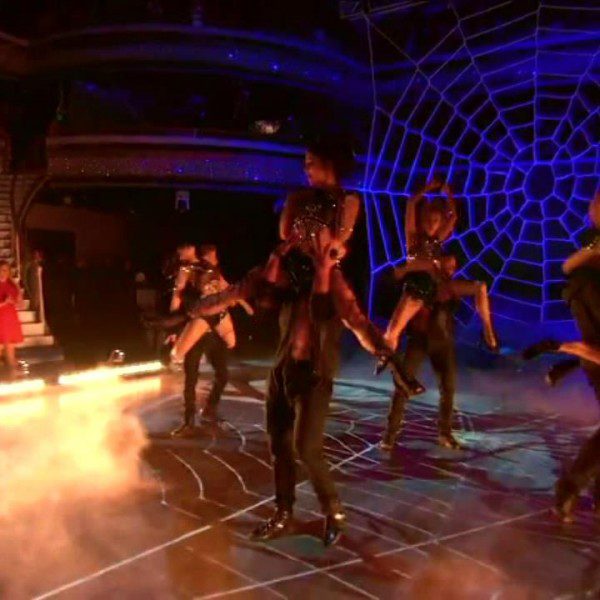dwts-spider-web-net (6)