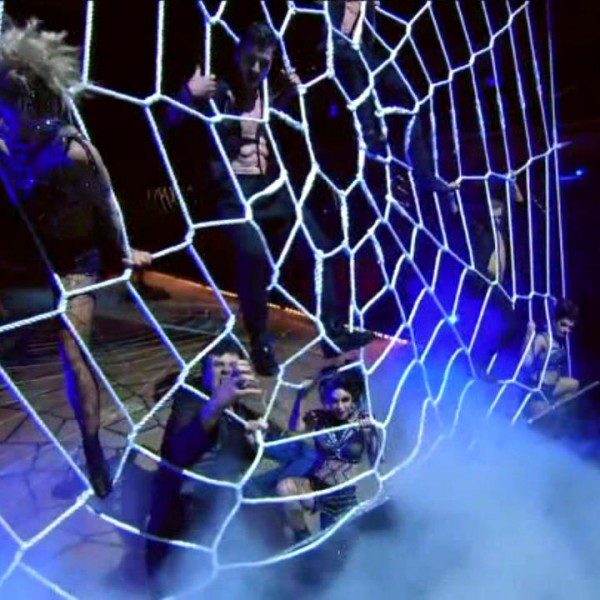dwts-spider-web-net (7)