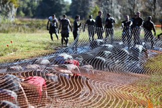 Crawl Under Nets