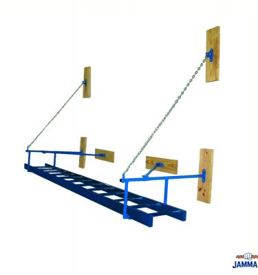 Wall-Mounted Gym Ladder